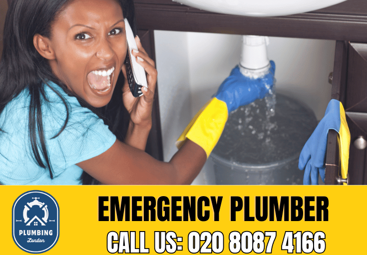 emergency plumber Hampstead